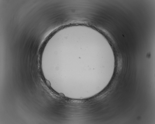 X0000115680878200912241438