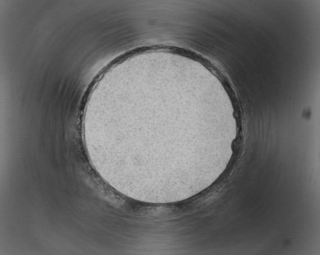 X0000115680879200912241438
