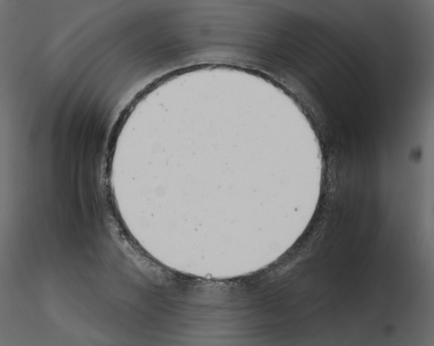 X0000115680880200912241438