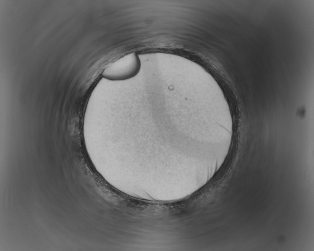 X0000115680881200912241438