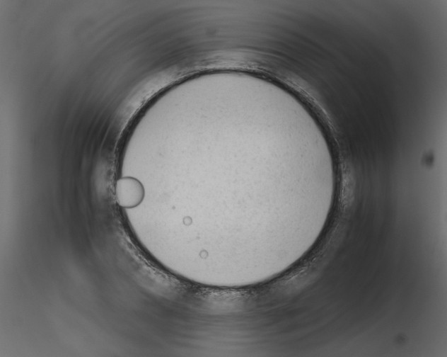 X0000115680882200912241438