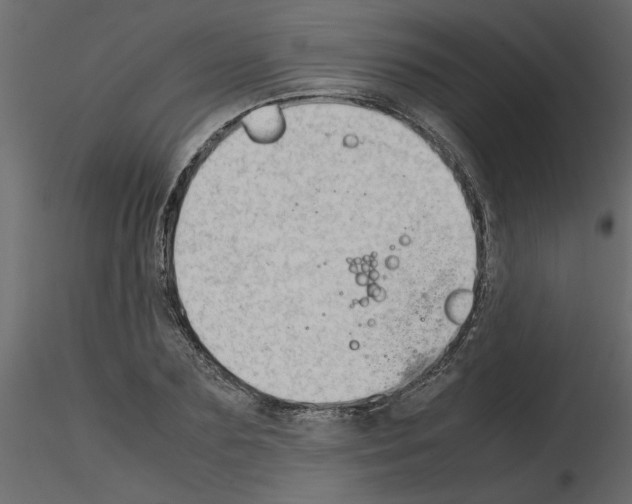 X0000115680883200912241438