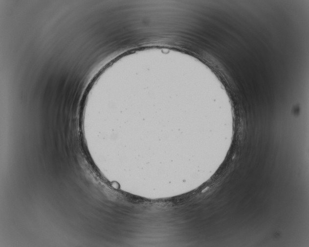X0000115680884200912241438