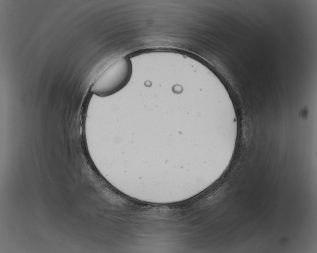 X0000115680885200912241438