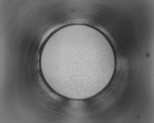 X0000115680886200912241438