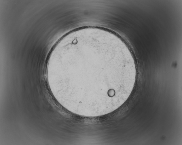 X0000115680887200912241438