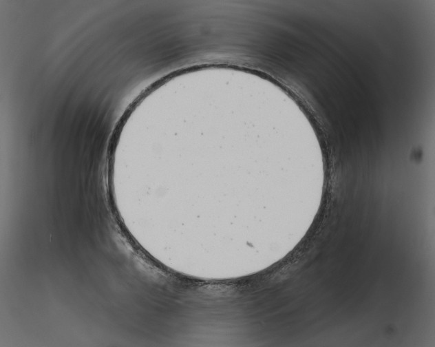 X0000115680888200912241438