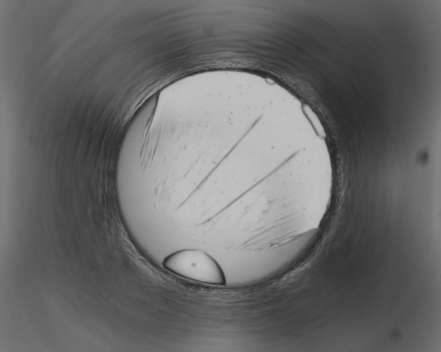 X0000115680889200912241438