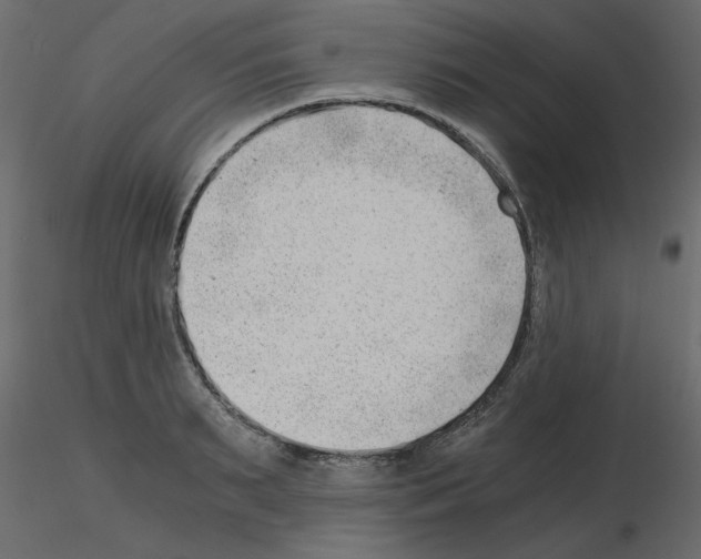 X0000115680895200912241438