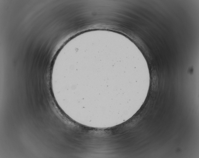 X0000115680896200912241438