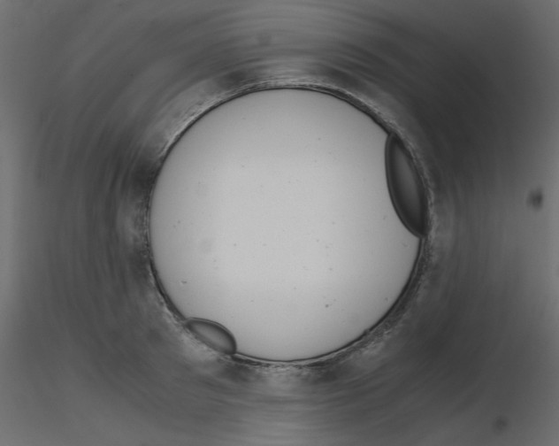 X0000115680897200912241438