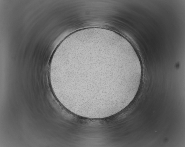 X0000115680899200912241438