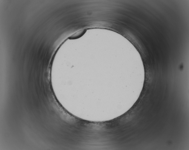 X0000115680900200912241438