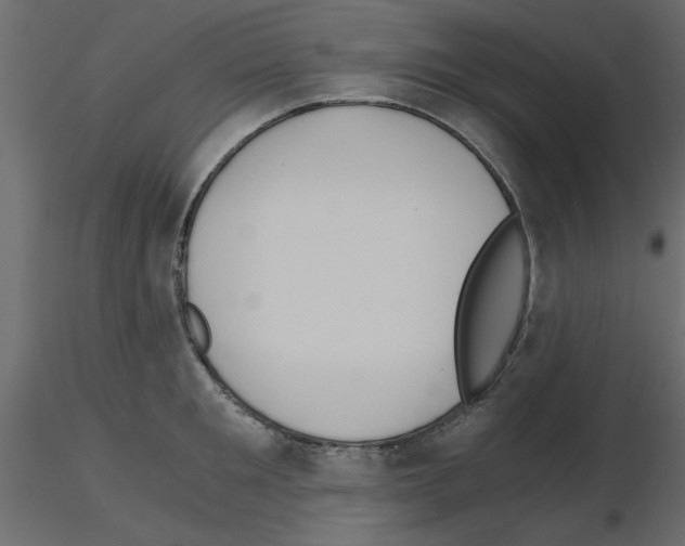 X0000115680901200912241438