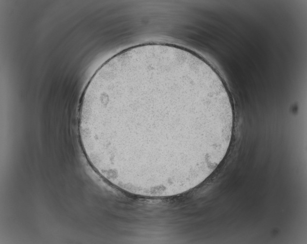 X0000115680903200912241438