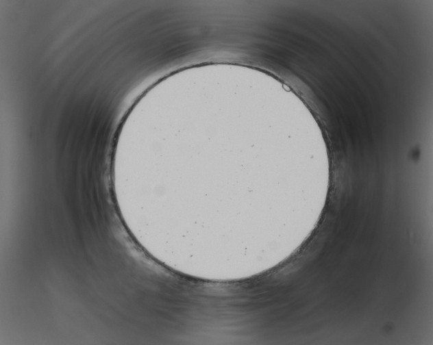 X0000115680904200912241438