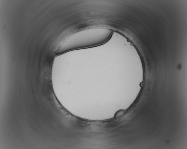 X0000115680905200912241438