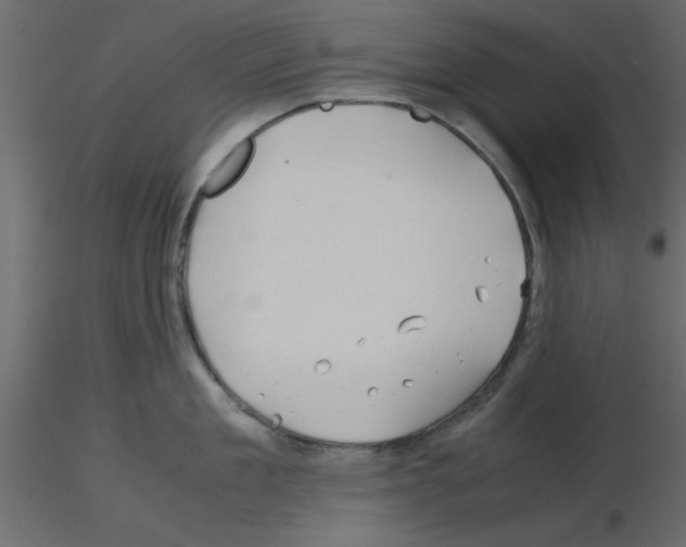 X0000115680909200912241438