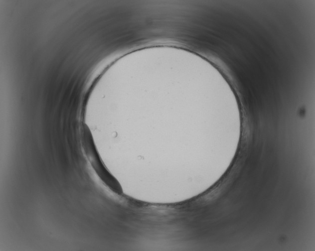 X0000115680910200912241438