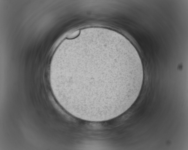 X0000115680911200912241438