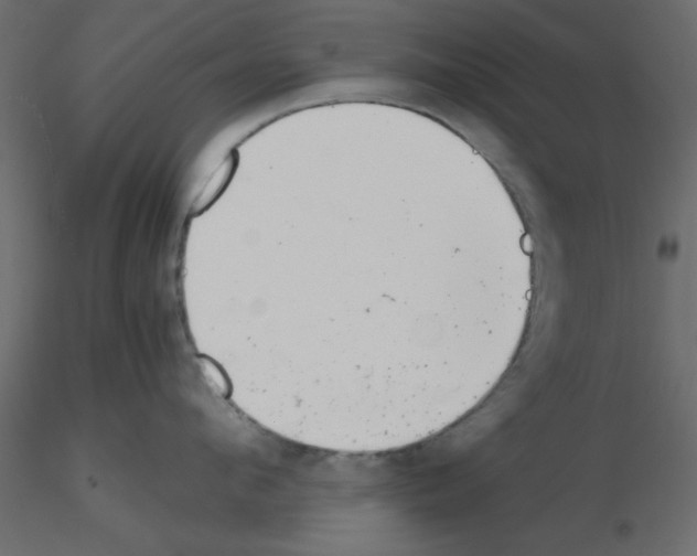 X0000115680912200912241438