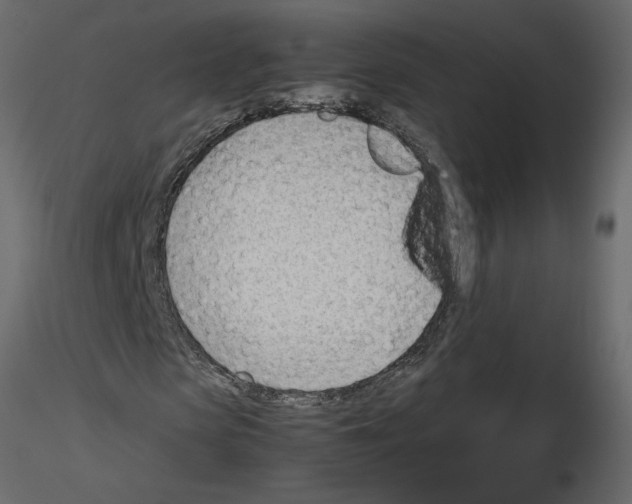 X0000115680913200912241437