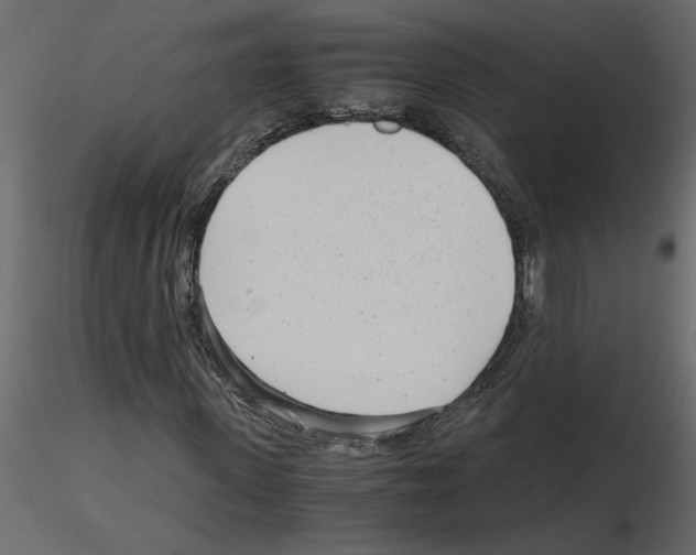 X0000115680915200912241437