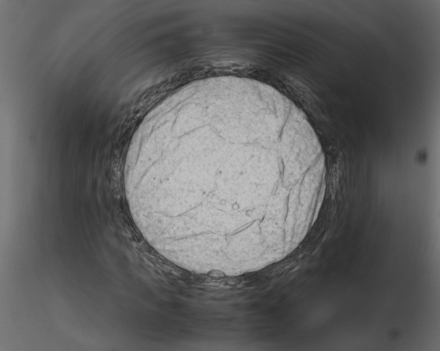 X0000115680917200912241437