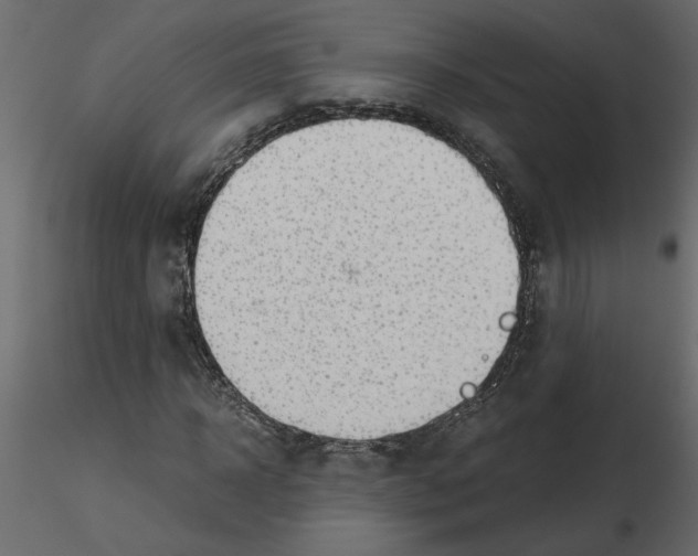 X0000115680918200912241437