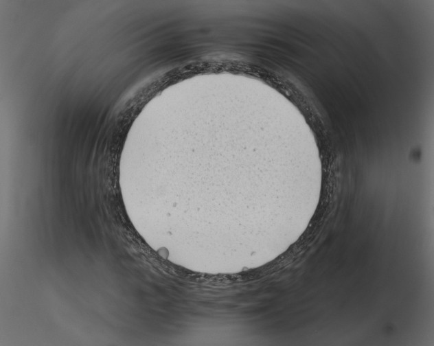 X0000115680919200912241437