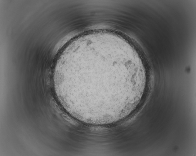 X0000115680921200912241437