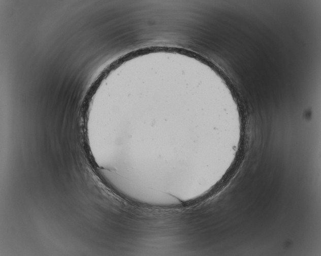 X0000115680926200912241437