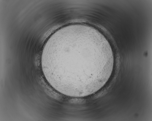 X0000115680929200912241437