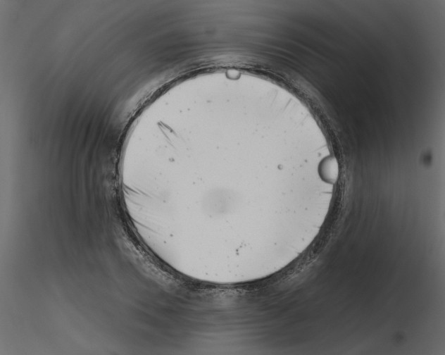 X0000115680930200912241437