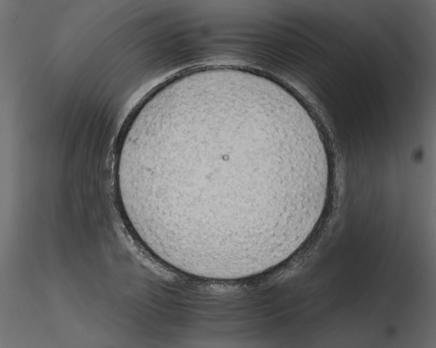X0000115680933200912241437
