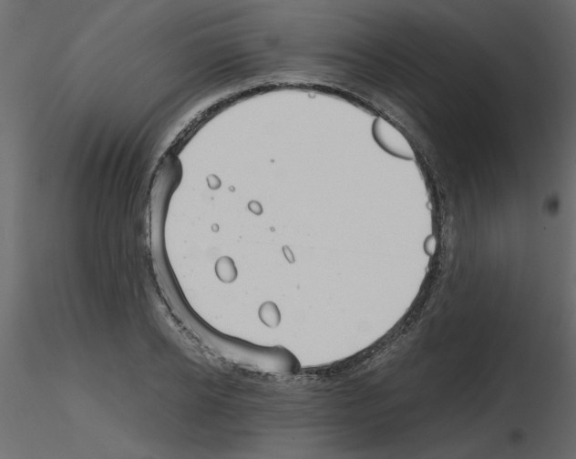 X0000115680934200912241437
