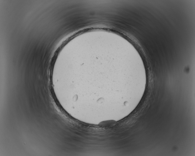 X0000115680935200912241437