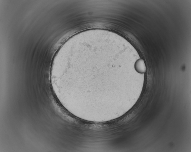 X0000115680938200912241437