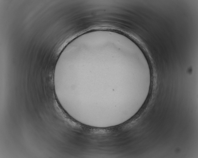 X0000115680945200912241438