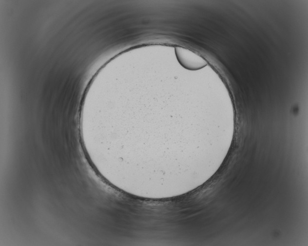 X0000115680951200912241438