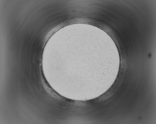 X0000115680954200912241438
