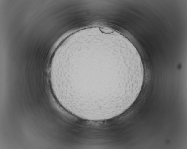 X0000115680955200912241438