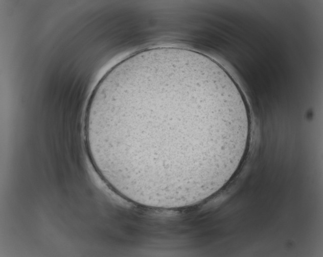 X0000115680957200912241438