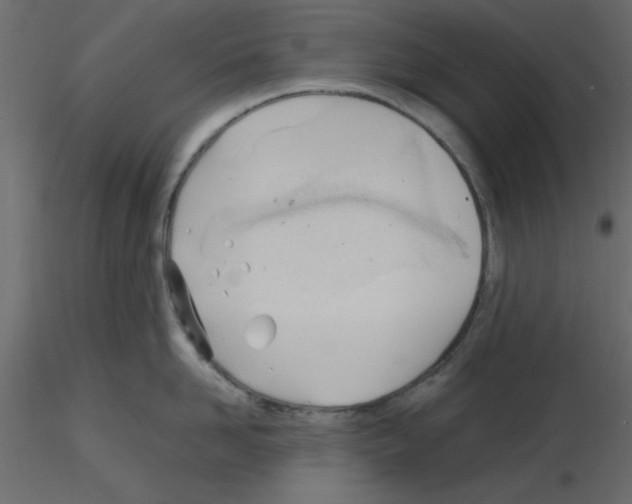 X0000115680958200912241438