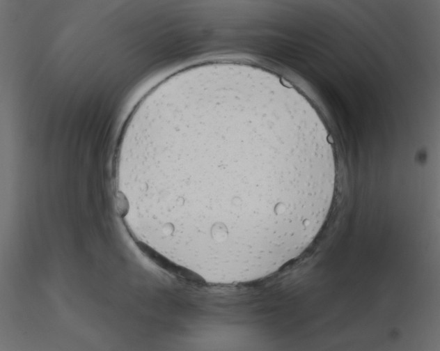 X0000115680959200912241438