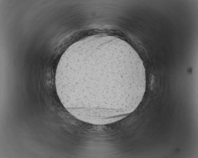 X0000115680966200912241437