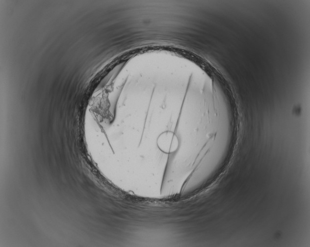 X0000115680969200912241437