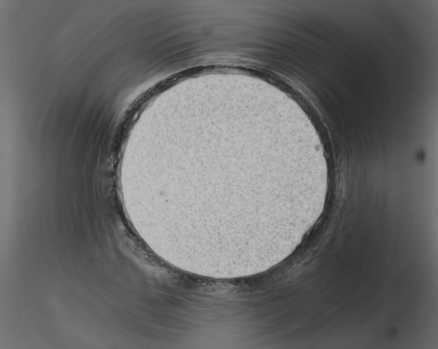 X0000115680971200912241437