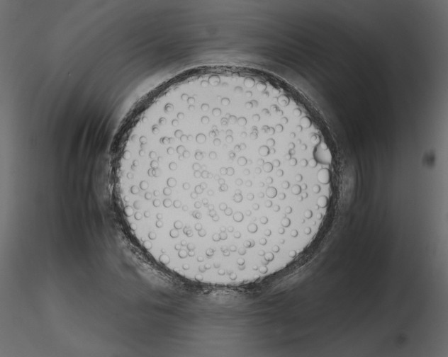 X0000115680974200912241437