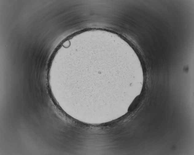 X0000115680976200912241437